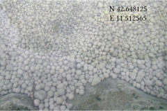 Maremma  -  Saturnia