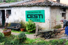 2 Mario-Barzacchini-l'ultimo-cestaio-di-Buti