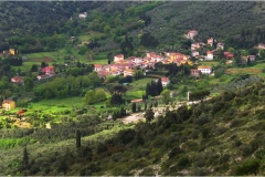 241 - Monti Pisani-  Paesaggio