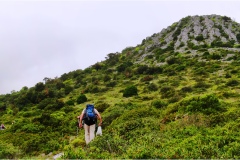 244. - Monti Pisani-  Moriglion-della-Penna