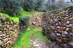 p12. - Monti Pisani-  Via-fonda-verso-localita-Ascensione