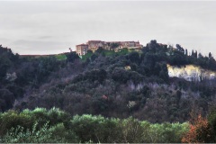 10--  Palaia e d'intorni - Toiano