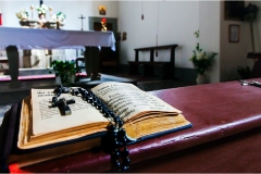 102-  Palaia e d'intorni