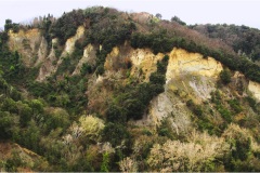 12--  Palaia e d'intorniCalanchi