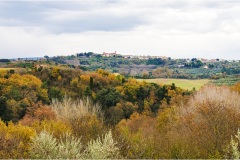 140 -  Palaia e d'intorni-Montefoscoli