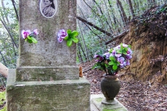 30-In-ricordo-della-Bella-Elvira