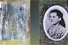 32-  Palaia e d'intorni