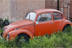 42-  Palaia e d'intorni