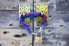 44-  Palaia e d'intorni