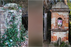 46-L-  Palaia e d'intorni - Lungo-la-strada