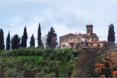 62-  Palaia e d'intorni