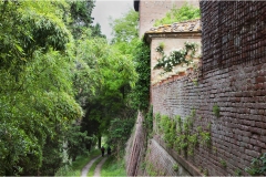 78--  Palaia e d'intorni - Montebicchieri