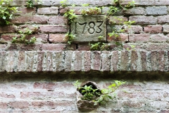 80-  Palaia e d'intorni