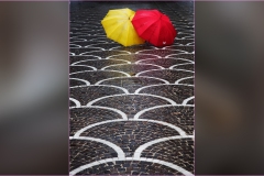 28    Pontedera arte