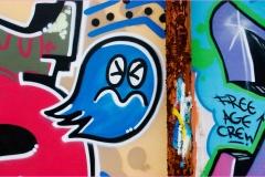 64    Pontedera arte