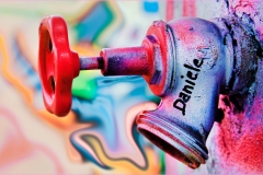 68    Pontedera arte