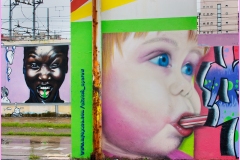 72    Pontedera arte