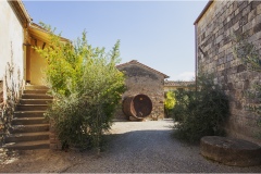 307-San Gimignano - San-Donato