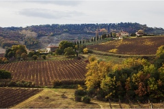 314 - San Gimignano