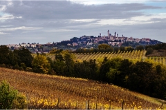 325 - San Gimignano