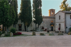 San Gimignano  -Paesaggio - Cellole