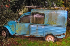 1-Terre di Siena -Eremo-di-Lecceto