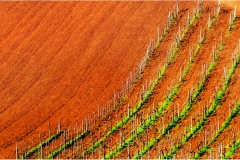 10-3 Terre di Siena  - Monteriggioni