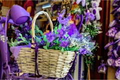 11-Terre di Siena -   Vetrine