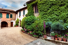 12- Terre di Siena - Montalcino