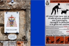 15_ Terre di Siena-Montalcino