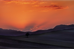 15- Terre di Siena - Pienza-