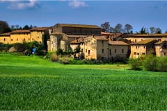 2-Terre di Siena -Badia  a Isola