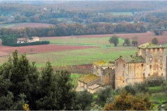 2-Terre di Siena -Eremo-di-Lecceto