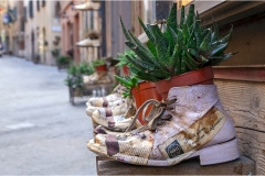 20-- Terre di Siena - Montepulciano-