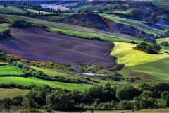 24- Terre di Siena - Montepulciano-