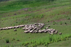 25-- Terre di Siena - Montepulciano-