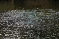 3-Terre di Siena - Bagno Vignoni