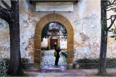 3-Terre di Siena -Eremo-di-Lecceto