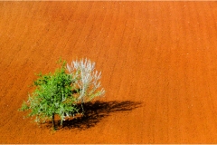 3 Terre di Siena  - Monteriggioni