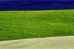 Terre di Siena - Paesaggi