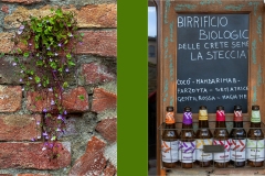 4Terre di Siena - Bagno Vignoni-