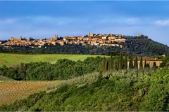 4-  -Terre di Siena - Montalcino