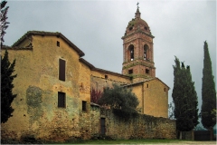 5-Terre di Siena -Eremo-di-Lecceto