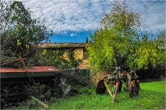 5- Terre-di-Siena - Murlo