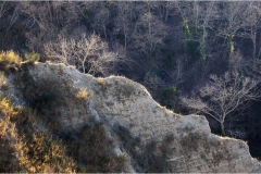 6- terre di Siena - Monte-Uliveto