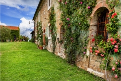 6-Terre di Siena - Sorbelle-DOrcia