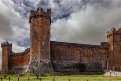 8-Terre di Siena-Montalcino