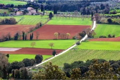 9--Terre di Siena - Scala-santa