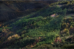 Terre di Siena - Rocca di Sillano
