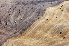 Terre di Siena - Paesaggi